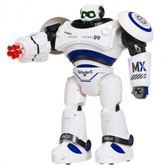 Rc Robot 1:10Scale Model