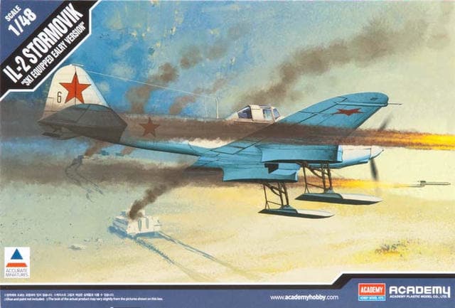 IL-2 SKIS STORM
