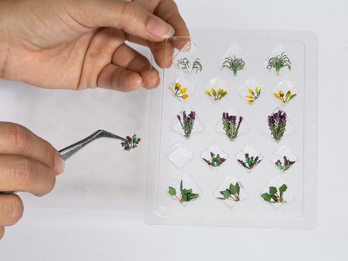 Noch  14058 Bedding Plants Ho Scale