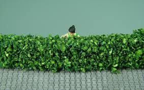 NOCH 21524 DARK GREEN MODEL HEDGES HO SCALE