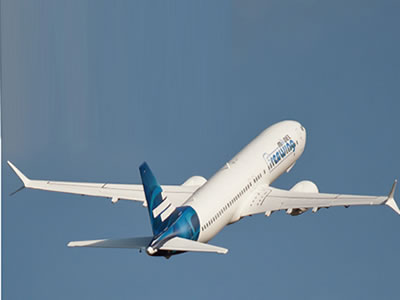 Freewing AL37 Airliner Twin 70mm EDF Jet from Free wing - PNP