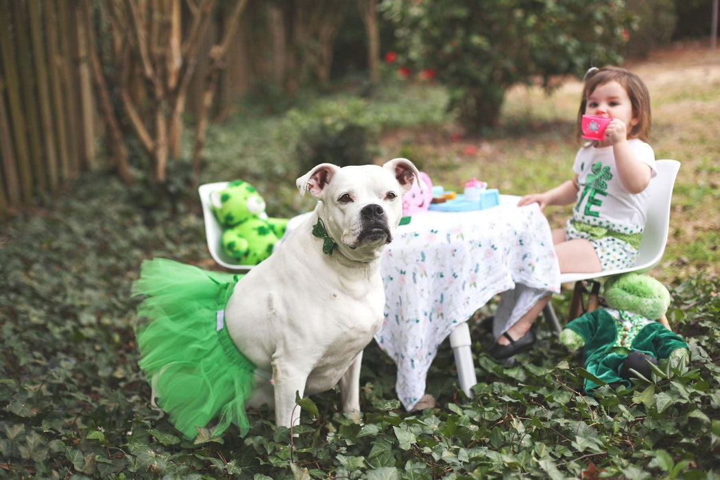 Green Christmas Dog Tutu Skirt | XS-XXXL