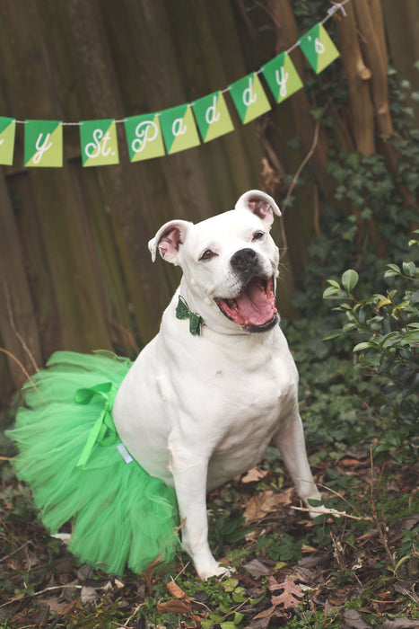 Green Christmas Dog Tutu Skirt | XS-XXXL