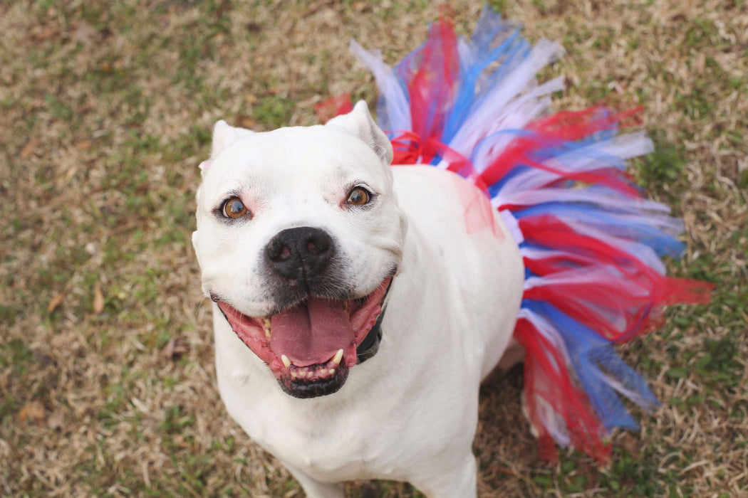 4th Of July Dog Tutu Skirt | XS-XXXL