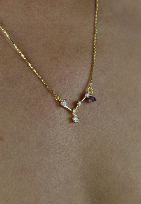 Pisces Necklace with Amethyst - Zodiac Sign by Bombay Sunset