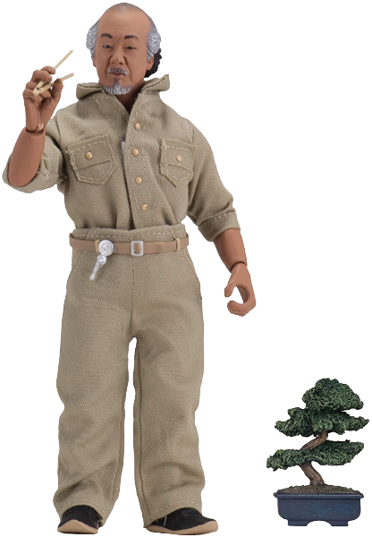 NECA - Retro Clothed Action Figures - Karate Kid (1984) - 8"  Mr. Miyagi Figure