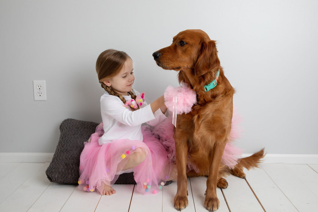 Light Pink Dog Tutu Skirt | XS-XXXL