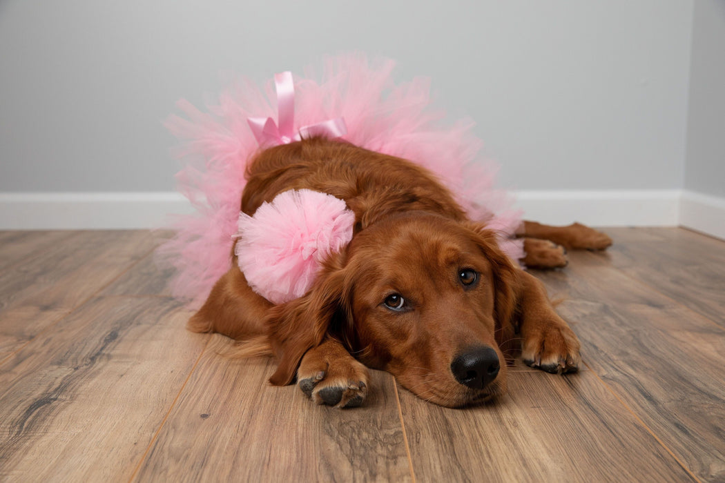 Light Pink Dog Tutu Skirt | XS-XXXL