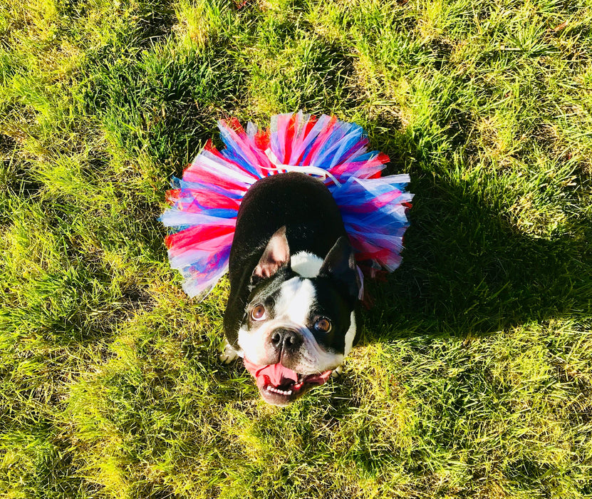 4th Of July Dog Tutu Skirt | XS-XXXL