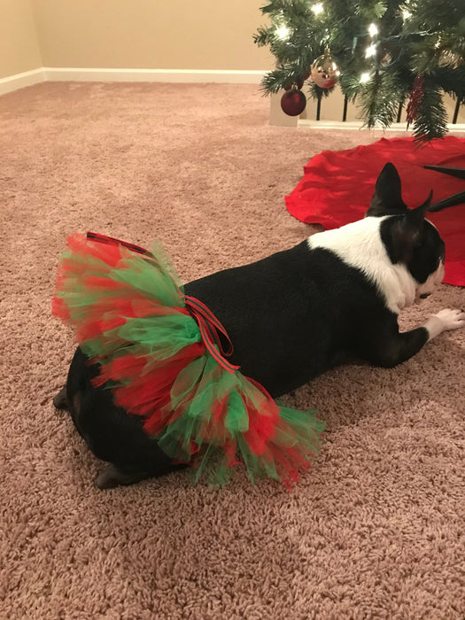 Red and Green Christmas Dog Tutu Skirt | XS-XXXL