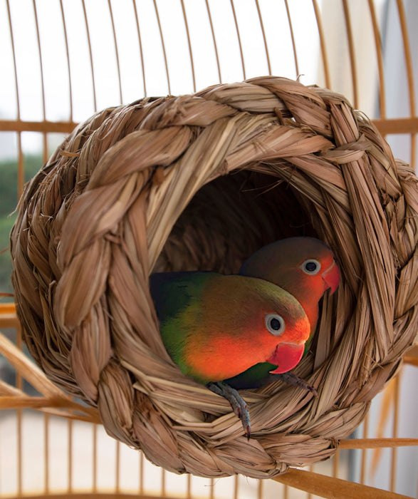 Oval Woven Bird Nest Cage | Natural Grass Hideaway Bird Hut, Safe For All Birds