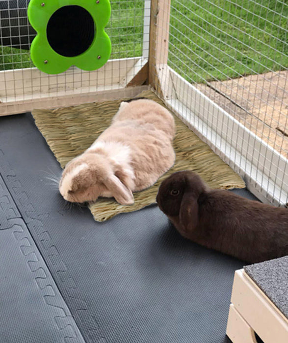 Seagrass Pet Mats for Bunny, Rabbit, Hamster and Small Animals | Protect Paws from Wire Cage