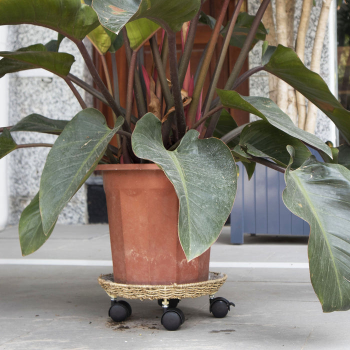 Set 2 Round Planter Caddy Wheels Heavy Duty Plant Pot for Indoor Garden and Balcony Decor